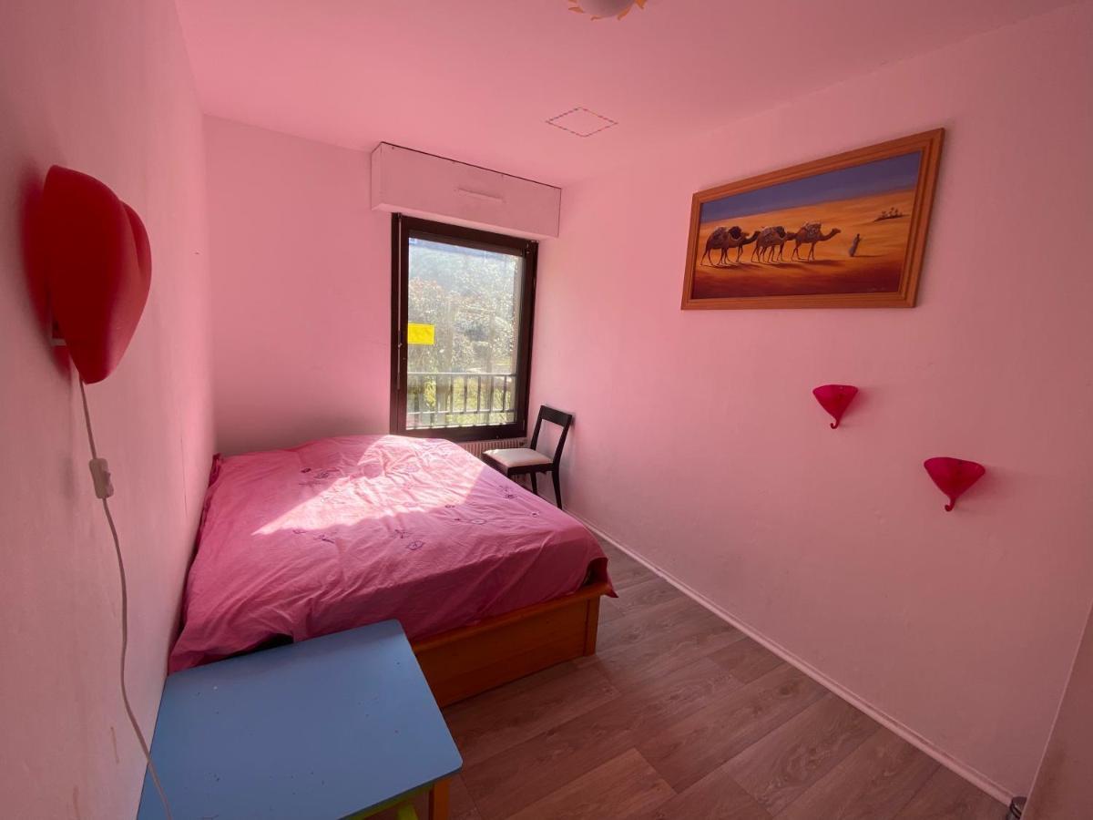 Nancy Hyper Centre, Chambre Prive Chez L'Habitant En Colocation Luaran gambar