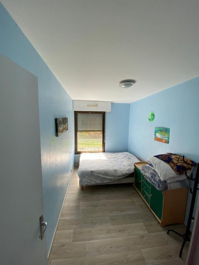 Nancy Hyper Centre, Chambre Prive Chez L'Habitant En Colocation Luaran gambar